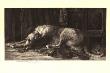 Irish Wolfhound by Herbert Thomas Dicksee Limited Edition Pricing Art Print