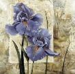 Iris In Bloom by Richard Henson Limited Edition Pricing Art Print