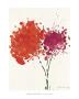 Red Flowers by Oskar Koller Limited Edition Pricing Art Print