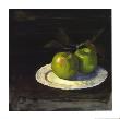 Green Apple Study I by Carol Rowan Limited Edition Print