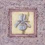 Lilac Iris I by Charlene Winter Olson Limited Edition Print