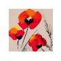 Three Poppies (Grey) by Tibi Hegyesi Limited Edition Print
