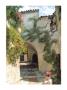 Archway In Provence by Taradel Limited Edition Print
