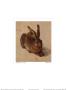 The Hare by Albrecht Dürer Limited Edition Pricing Art Print