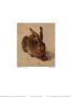The Hare by Albrecht Durer Limited Edition Pricing Art Print