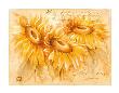 Sonnenblume by Svetlana Limited Edition Pricing Art Print