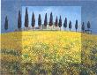 Glimpse Of Tuscany I by Alessandro Pante Limited Edition Print