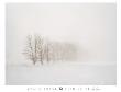 White Fog Iii by Stan Shire Limited Edition Print