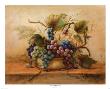 Vineyard Blessings by Lisa White Limited Edition Print