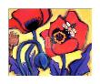 Red Poppies by Gerry Baptist Limited Edition Print
