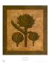 Bronze Artichoke Ii by Franco D'ottore Limited Edition Print