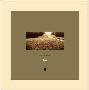 Rain by Bill Timmerman Limited Edition Pricing Art Print