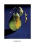 Pear In Blue by Ulla Mayer-Raichle Limited Edition Pricing Art Print