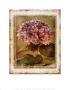 Hydrangea by Linda Maron Limited Edition Pricing Art Print