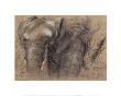 Pieter Boel Pricing Limited Edition Prints