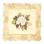 Victorian Magnolia by George Caso Limited Edition Pricing Art Print