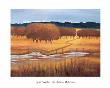 Autumn Reflections by Lynn Welker Limited Edition Pricing Art Print