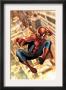 The Amazing Spider-Man #549 Cover: Spider-Man by Salvador Larroca Limited Edition Pricing Art Print