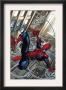 Marvel Adventures Spider-Man #52 Cover: Spider-Man by Carlos Ferriera Limited Edition Pricing Art Print