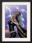 Uncanny X-Men #449 Cover: Storm Swinging by Greg Land Limited Edition Print