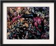New Avengers #45 Group: Spider-Man, Wolverine And She-Hulk by Jim Cheung Limited Edition Print