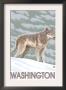 Wolf Scene - Washington, C.2009 by Lantern Press Limited Edition Pricing Art Print