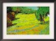 Sunny Lawn by Vincent Van Gogh Limited Edition Pricing Art Print
