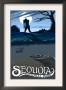 Sequoia Nat'l Park - Bigfoot - Lp Poster, C.2009 by Lantern Press Limited Edition Print