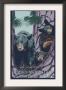 Rocky Mountain National Park, Co - Bears In Tree, C.2009 by Lantern Press Limited Edition Print