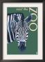 Visit The Zoo - Zebra Profile, C.2009 by Lantern Press Limited Edition Print