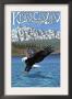 Kings Canyon Nat'l Park - Eagle Fishing - Lp Poster, C.2009 by Lantern Press Limited Edition Pricing Art Print