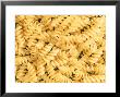 Close-Up Of Rigatoni by Doug Mazell Limited Edition Pricing Art Print