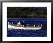Kangaroo Island, Cormorants Perched On Boat by Robert Franz Limited Edition Print