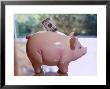 Piggy Bank With 100 Dollar Bill by Peter Ciresa Limited Edition Print