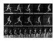 Athlete Running, 1897 by Eadweard Muybridge Limited Edition Pricing Art Print