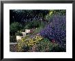 Perennial Garden by David Burch Limited Edition Pricing Art Print