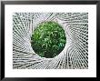 Hemp Rope Fence by John Beedle Limited Edition Pricing Art Print