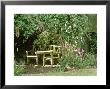 Rustic Wooden Chairs With Table In Secluded Area Of Garden by Mark Bolton Limited Edition Pricing Art Print