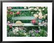 Summer Outdoor Arrangement by Lynne Brotchie Limited Edition Print