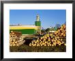 Estonian Forestry Operations, Tartumaa, Estonia by Niall Benvie Limited Edition Print