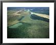 Savannah And Orinoco River, Venezuela by Aldo Brando Limited Edition Print