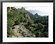 Antique Road In The Latmos Mountains And Lake Bafa, Western Turkey by Berndt Fischer Limited Edition Print