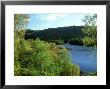 Deciduous Woodland In Autumn, Highland, Scotland by Mark Hamblin Limited Edition Print