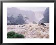 Iguassu Waterfall, Where Iguacu River Forms Brazil/Argentina Border by Richard Packwood Limited Edition Print