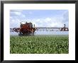 Agriculture, Machine Crop Spraying With Pesticides In East Anglia by Chris Sharp Limited Edition Print