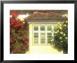 Flowers Near Colorful Home, Burgenland, Austria by Walter Bibikow Limited Edition Print