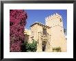 Alcazar, Seville, Spain by David Ball Limited Edition Print