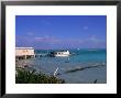 Conch Farm, Turks & Caicos Islands by Timothy O'keefe Limited Edition Pricing Art Print