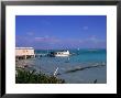 Conch Farm, Turks & Caicos Islands by Timothy O'keefe Limited Edition Print