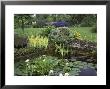 Small Pond With Water Lily, Arum Lily, Umbrella Plant And Curled Pondweed by Ron Evans Limited Edition Print